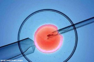 陈若晴 副院长